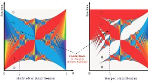Die Dichtkunst der Schmetterlinge