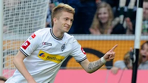 Lockrufe und Warnungen