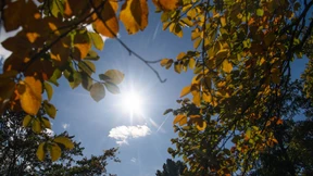 Der Sommer kehrt zurück – zumindest ein bisschen