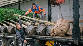 10.000 Bäume gegen den Klimawandel