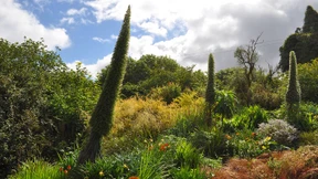 Bepflanzt wie von Elfenhand