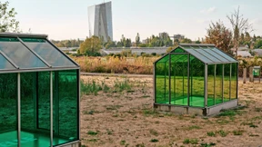 Sieben Kräuter sollt ihr sein