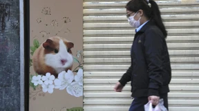 Mehrere Hamster in Tierhandlung haben Corona