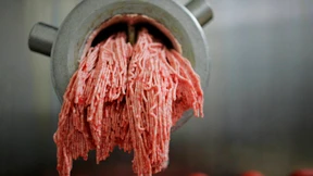 „Es wird auch Fleisch geliefert, das schon grün ist“