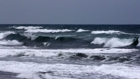 „Alles sinkt irgendwann nach unten“