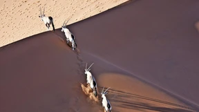 Am Puls des Planeten