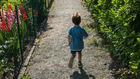 Geteiltes Laubenglück