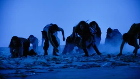 In der Aphorismenfeuerwerksfabrik