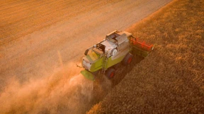 Zustimmung gegen den Willen von Hendricks