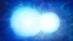 Ein ungewöhnlicher Exot mit bewegter Vergangenheit