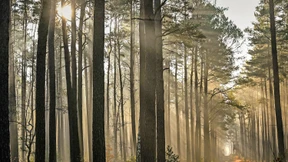 Beamte sind auch bloß Menschen