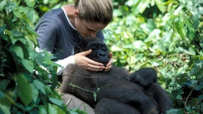 Die Gärtner des Urwalds