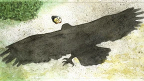 Wer sagt, wo es sicher ist?