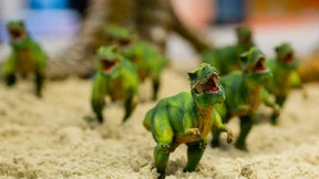 Neuer Rekord für Dachfonds