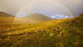  Bauarbeiter müssen aufgebrachte Elfen besänftigen 