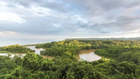 Schuster, bleib bei deinem Leisten!