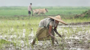 Investitionen in Wasser und Land für globale Sicherheit