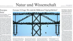 Mutige Investitionen