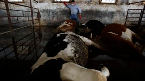 Wassermonstrum spült Grenzen weg