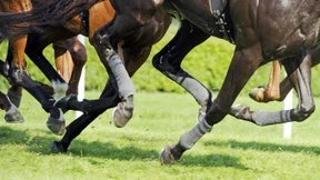 Außenseiter Mendocino landet Coup