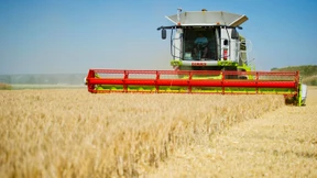 Jetzt wird auch der Acker teuer