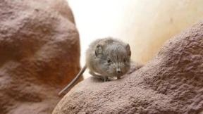 Frühling in allen Revieren