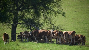 Keine Dürre mehr im Westen Deutschlands