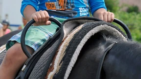 Kleine Wunder im leichten Trab