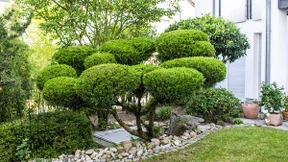 Japanischer Garten ohne Zäune