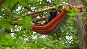 Polizei entdeckt Brandsatz und Nagelbretter im Herrenwald