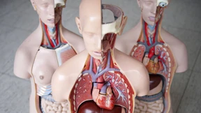 Neue Organspenderegel – würde die überhaupt helfen?