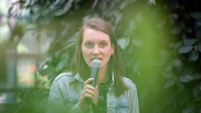 Im Palmengarten ist alles Musik