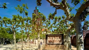 Der Kreislauf alles Lebendigen