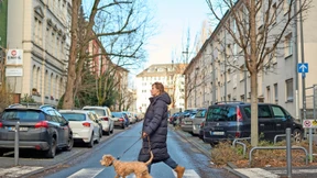 Was ist auf den Straßen los?