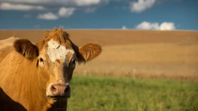 Das Dorf soll wieder attraktiv werden