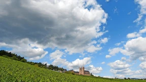 Die Revolte der Winzer