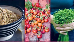 Rundgang mit dem Botaniker