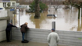 Wasserwehr soll Deich bewachen