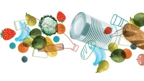 Schönes Fachwerk unterm Gipskarton