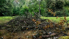 Sparen gegen den Mangel