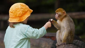 Wir sind schon ziemlich einzigartig