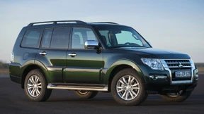 Der alte Kämpe mit dem aufrechten Gang 