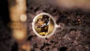 Das schwäbische Troja