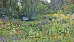 Wer nicht durchhält, fliegt raus