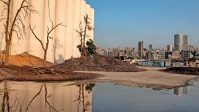 Der Weizen zwischen den Trümmern