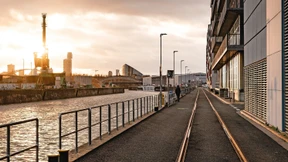 Keine Schönheit, aber quicklebendig