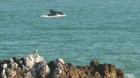 Die Mutter hüpft fürs Publikum