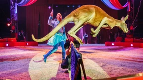 Ein Außenseiter  bietet die beste Show 