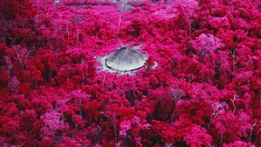 Wie Fotografie den Blick verändert