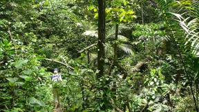 Irgendwann hat man von allem genug